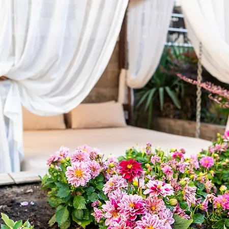 здравец Хотел 4*